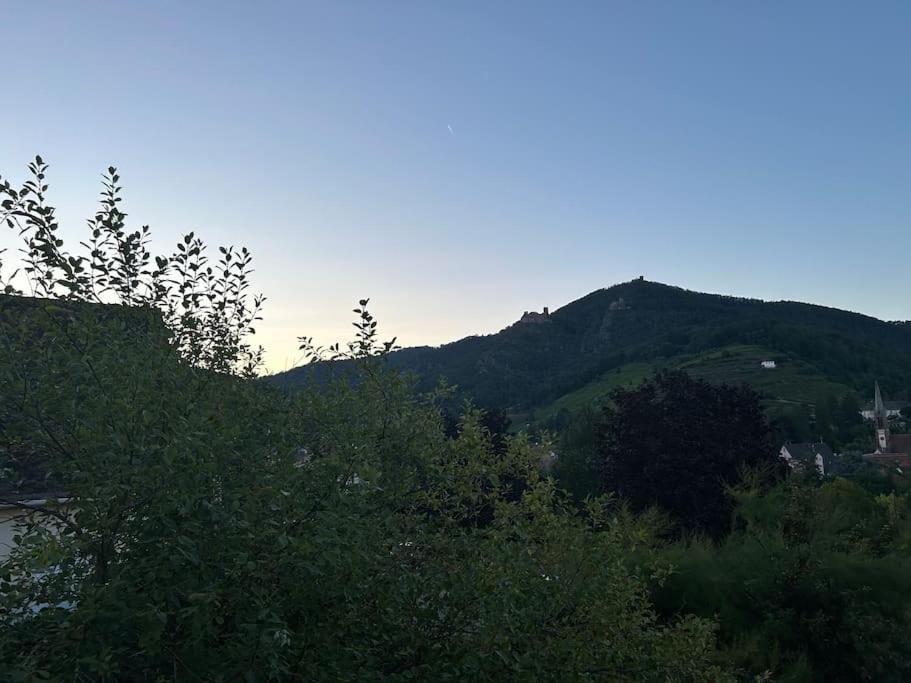 Vue Magnifique Sur Les Chateaux Ribeauvillé Esterno foto